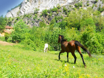 Il Ducato del Bardo (Mondovì): Il Santuario del Bardo 