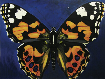 Katie Buckett, Painted Lady, 2015, Oil on canvas, 122 x 153 cm