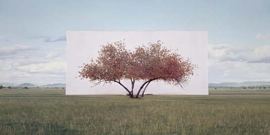 Visions of Nature. Courtesy of Kunst Haus Wien