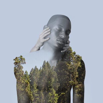 Une silhouette humaine levantant les yeux vers le ciel, symbolisant la réflexion philosophique et la connexion avec la nature, éléments centraux du Cercle de Philosophie de la Nature