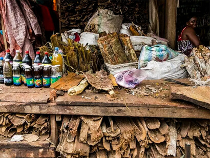 Médecine traditionnelle en Afrique. Chez les Mandingues, lorsqu'une personne tombe malade, la récolte de la ou des plantes destinées à lui rendre la santé doit se faire à un moment qui correspond au jour de naissance de l’individu et à une heure qui varie avec le groupe d'étoiles sous lequel il est né