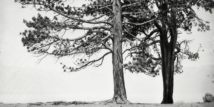 Ian Ruhter. Courtesy of Art Ventures Gallery
