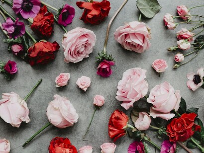 Flores que representam um paradoxo entre perfeição celestial e desejo terreno