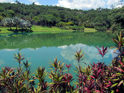 O Jardim Botânico do museu e instituto Inhotim, localizado em Brumadinho, Minas Gerais, Brasil conta com mais de 4,3 mil espécies botânicas raras, vindas de todos os continentes