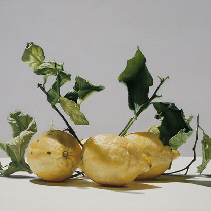 Francesco Stile, Looking for Shadow, Oil on canvas, 50 x 70 cm                 

