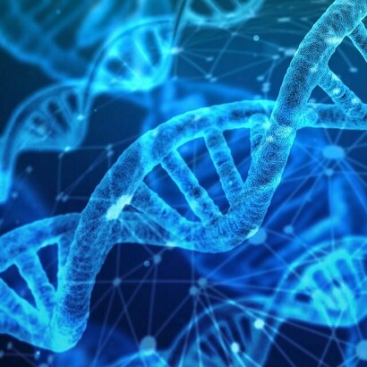 Rappresentazione del DNA