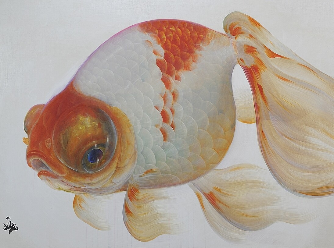 Riusuke Fukahori, Maboroshi