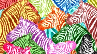 Variaciones en zebras 