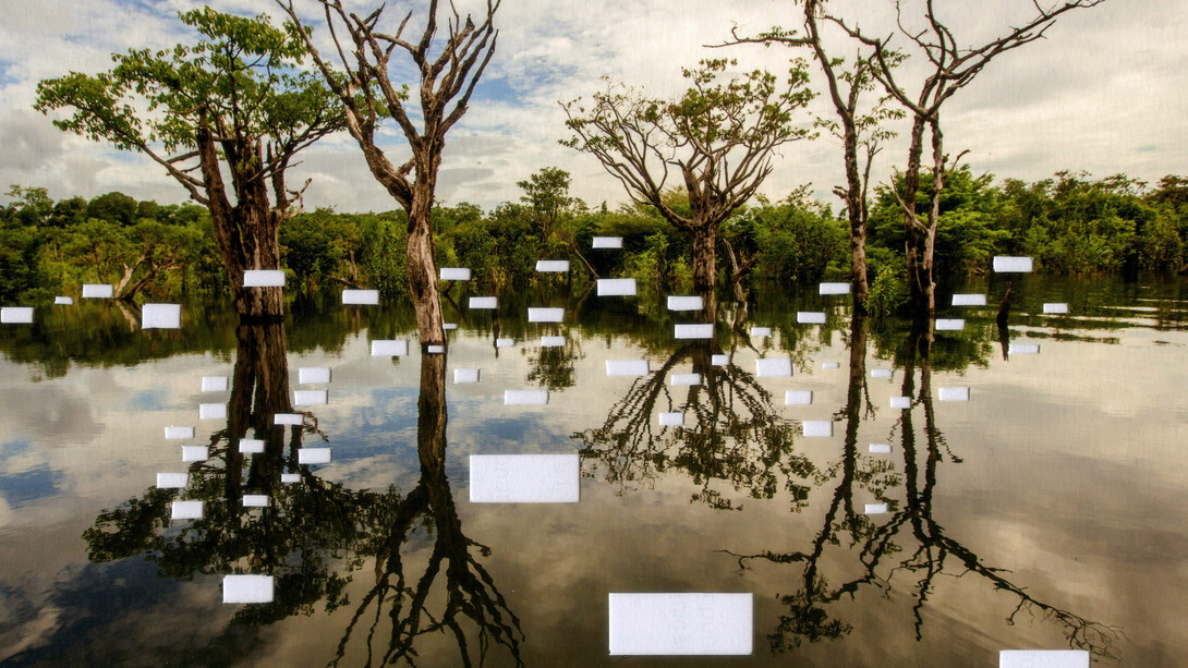 Postcards from Brazil. Courtesy of Casa Nova Arte e Cultura Contemporanea
