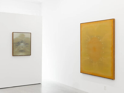 Heath Wae, School of the flower, exhibition view. Courtesy of Arden + White Gallery 