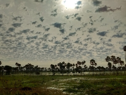 El festival dura 10 días y se lleva a cabo en pleno verano correntino, allí asisten espectadores de todas partes de Argentina y del mundo, ya que en los últimos años alcanzó gran popularidad. Ruta 5 Corrientes, Argentina