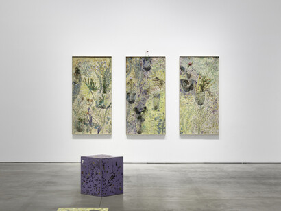 Sam Falls, Amongst the living, exhibition view. Courtesy of 303 Gallery 
