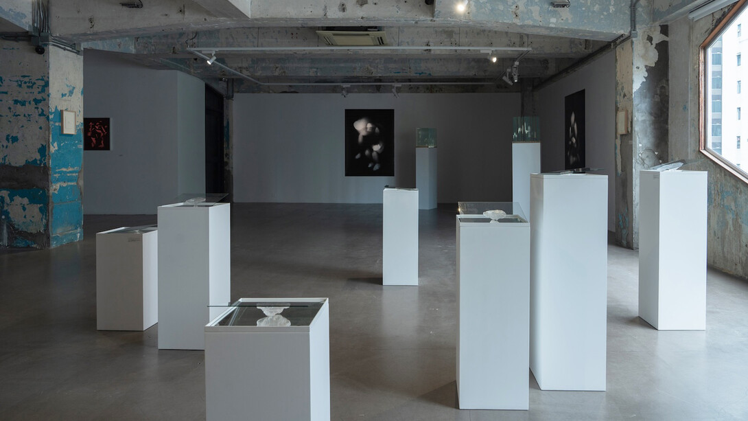 Isaac Chong Wai, Carefully, exhibition view. Courtesy of Blindspot Gallery