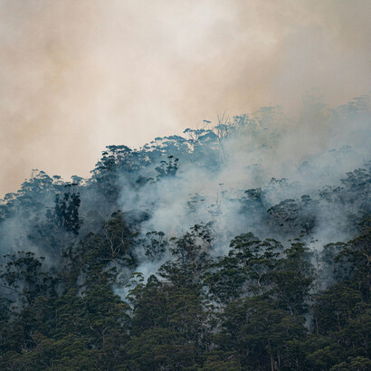 A pesar de mostrar una estrategia climática de posicionamiento internacional, cuando el FMI se sienta a negociar tiene una postura muy distinta