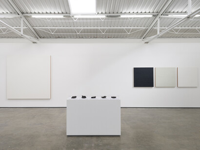 Vista del montaje Entropías, 2018. Foto: Rodrigo Viñas. Cortesía del artista y Proyectos Monclova