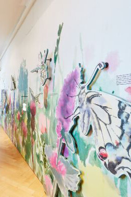 Loophole. Courtesy of Naturhistorisches Museum Basel