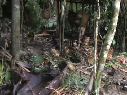 I Kawahiva allestiscono accampamenti temporanei e poi si spostano, per sfuggire agli intrusi. © FUNAI