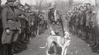 Foto di Gabriele d'Annunzio con un levriero