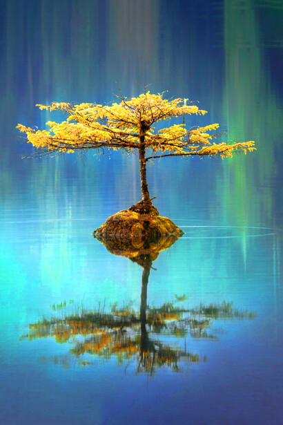 Un sistema viviente concentra sus esfuerzos en maximizar los resultados