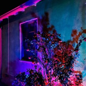 Faux Realities, Exhibition view. Courtesy of Annka Kultys Gallery