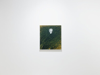Calvin Marcus, Rabbit hole, exhibition view. Courtesy of House of Gaga 