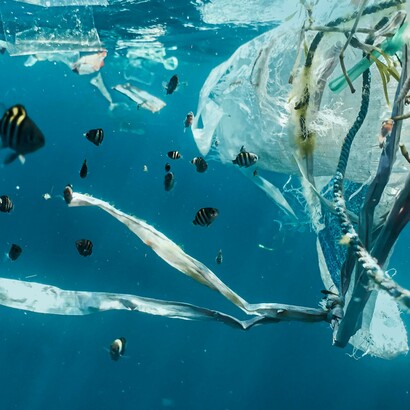 A high economic growth strategy that results in both ecological improvement and profit, is possible