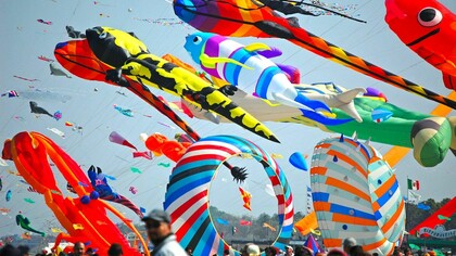 Festival dell'Aquilone