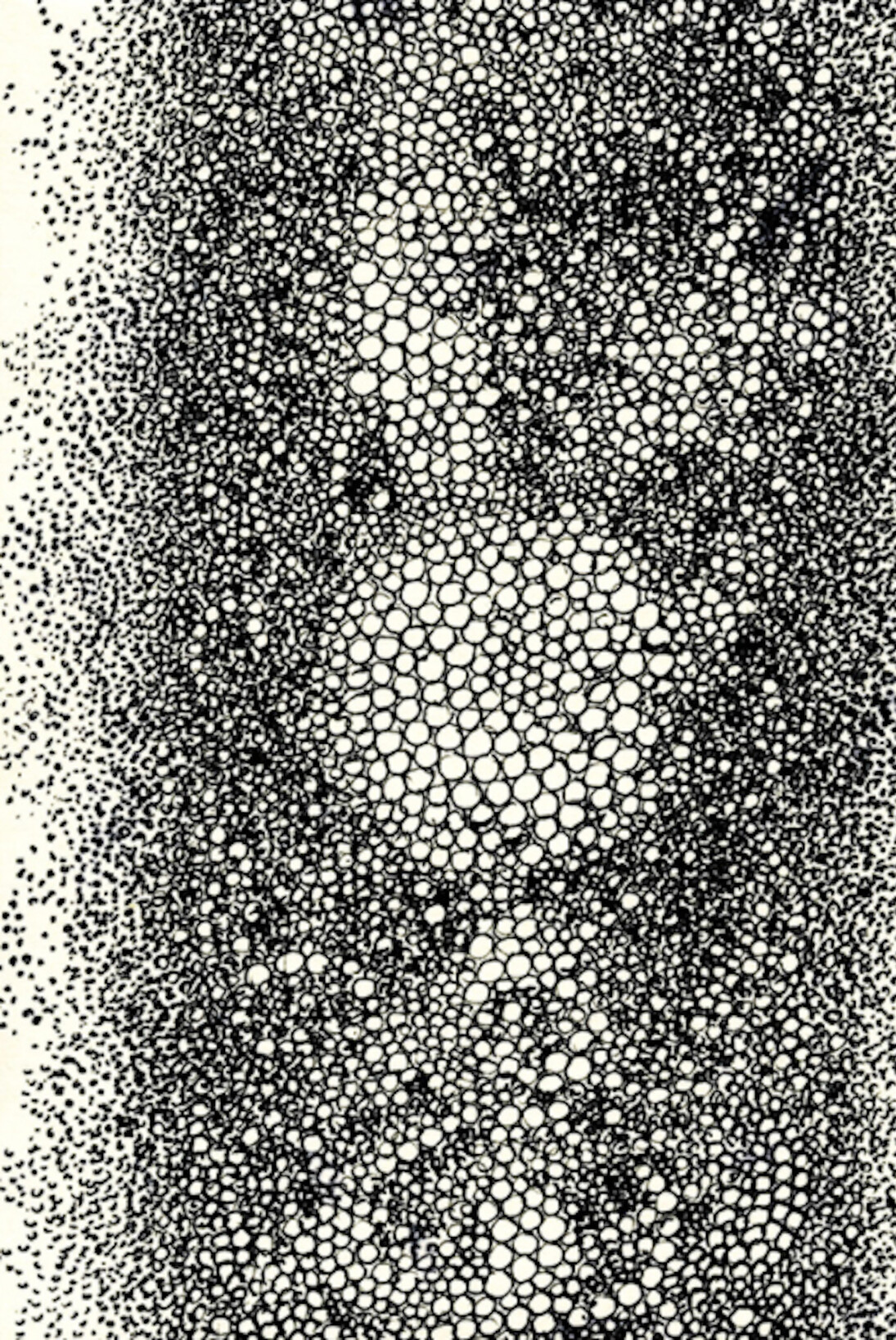 Hiroyuki Doi. Courtesy of Ricco Maresca Gallery 