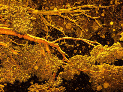 Sari Soininen, Vision 21, from the series Shallow waters misty waves, 2023. Courtesy of Aboa Vetus and Ars Nova