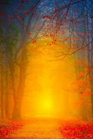 Amanecer de sol y corazón