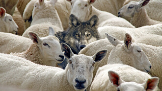 Es muy difícil detener una campaña malintencionada