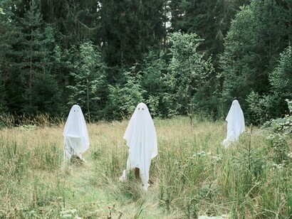 Fantasmas no mato