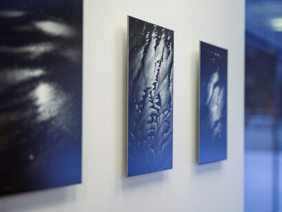 Anna Szprynger, Echo, exhibition view. Courtesy of M. K. Čiurlionis National Museum of Art