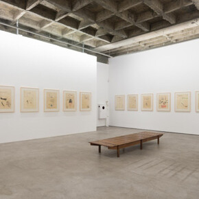 Wesley Duke Lee. Courtesy of Galeria Luisa Strina