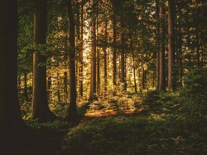 O caso dos Beale Ciphers levanta questões interessantes sobre a natureza dos mistérios históricos. Mesmo que seja apenas uma farsa literária, o enigma revela como histórias bem construídas podem atravessar séculos, alimentando esperanças e debates



