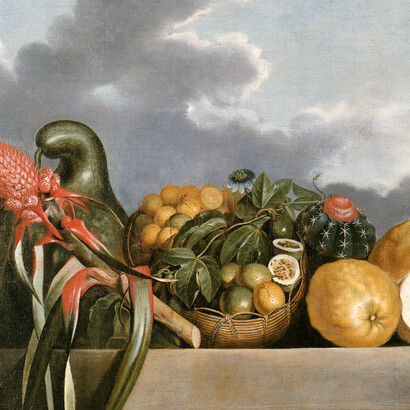 Albert Eckhout. Cabaça, frutas cítricas e cacto