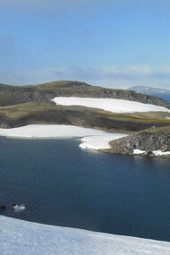 Ardley Island