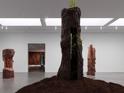 Giuseppe Penone, The reflection of bronze, exhibition view. Courtesy of Gagosian