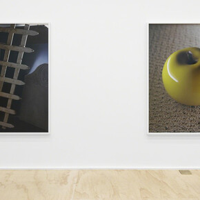 Torbjørn Rødland. Courtesy of Eva Presenhuber