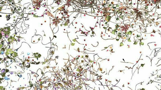 Jennifer Steinkamp, Diaspore 1, 2014 video installation dimensions variable Edition of 3 Courtesy the artist and Lehmann Maupin, New York and Hong Kong