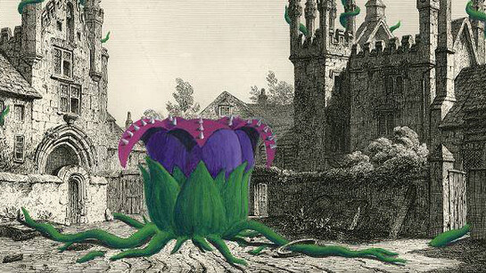 Alessandro Calizza. Courtesy of Minigallery