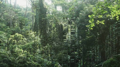 Monica Ursina Jäger. Courtesy of Museum Franz Gertsch