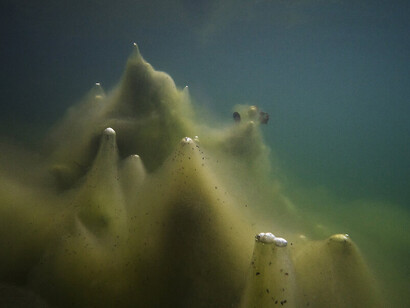 Hans-Christian Schink, #38, aus der Serie "Unter Wasser", 2020. Mit freundlicher genehmigung des Museums der bildenden Künste Leipzig