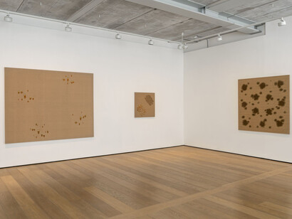 Kim Tschang-Yeul. Water Drops, installation view. Courtesy of Almine Rech