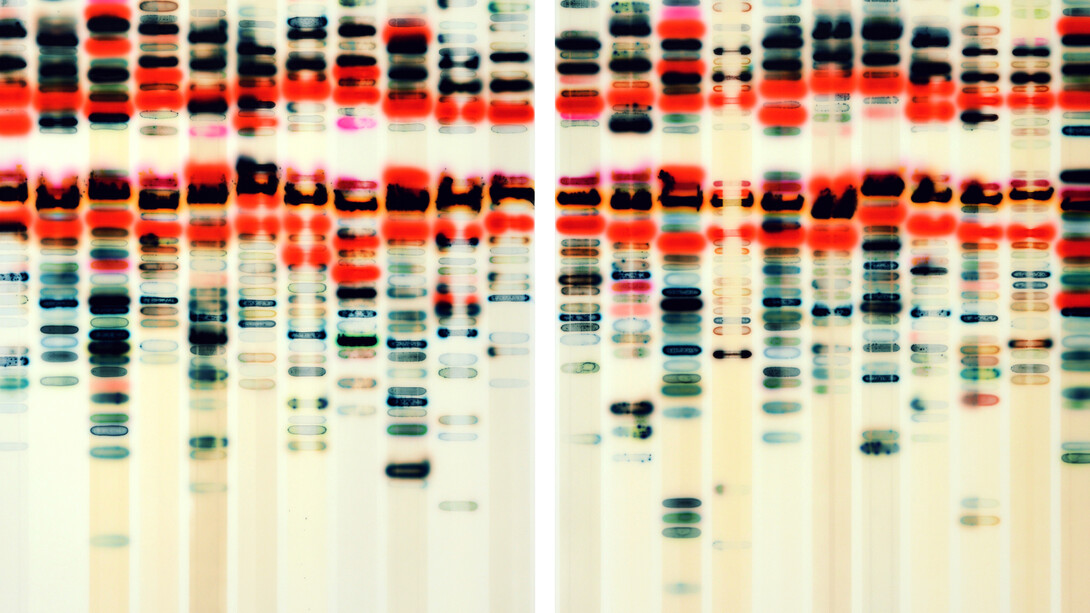 Jaq Chartier. Courtesy of Dolby Chadwick Gallery