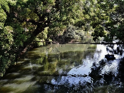 Cauvery Nisargadham