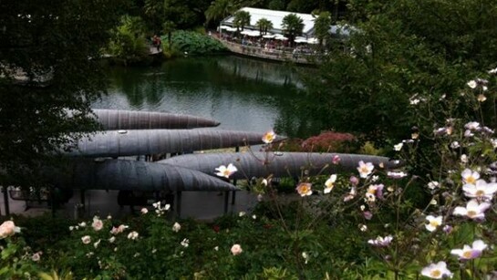 Giardini di Trauttmansdorff, coperture a canoa  ed anemoni.