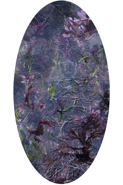 Susan Derges, Tide Pool 30, Unique C type print, 121.9 x 64.5 cm, 48 x 25.3 inches