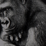 Isabel Muñoz. Platinotipias. Courtesy of N2