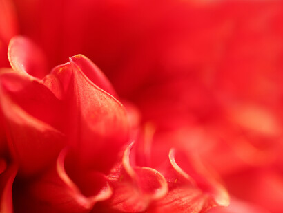 Hoy es todo, si realmente se desea, más fácil